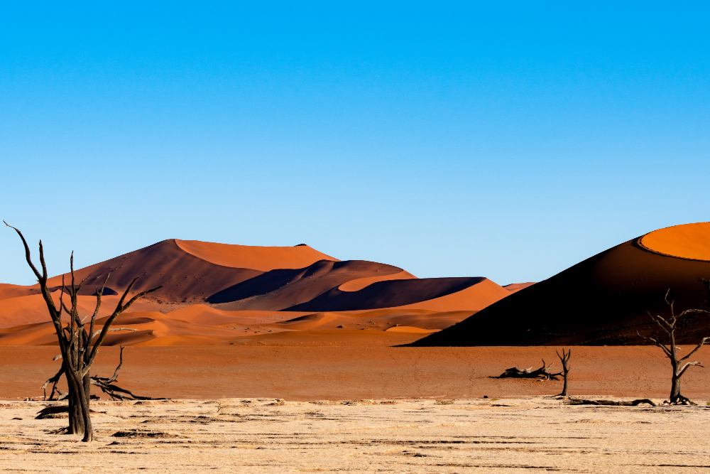 Misteri e Meraviglie del Deserto dell’Africa Australe